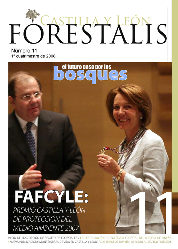 Revista Forestalis Nº 11