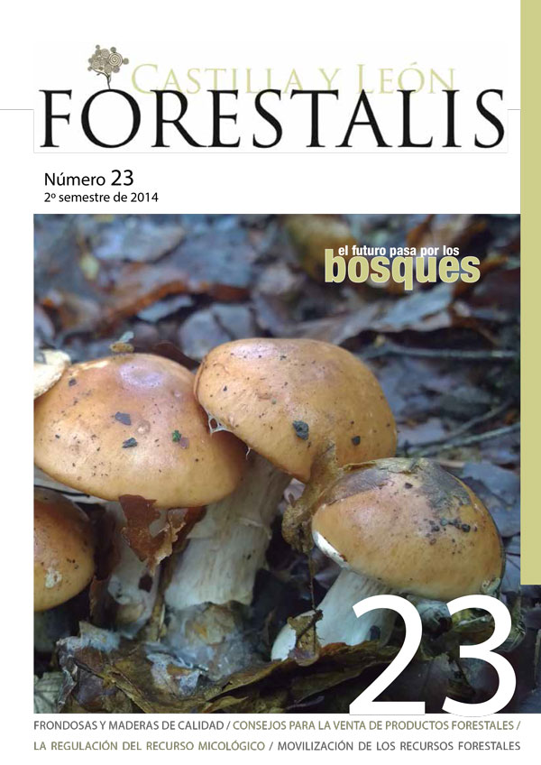 Revista Forestalis Nº 23
