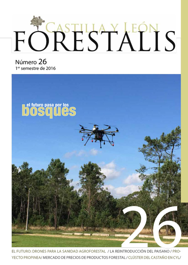 Revista Forestalis Nº 26