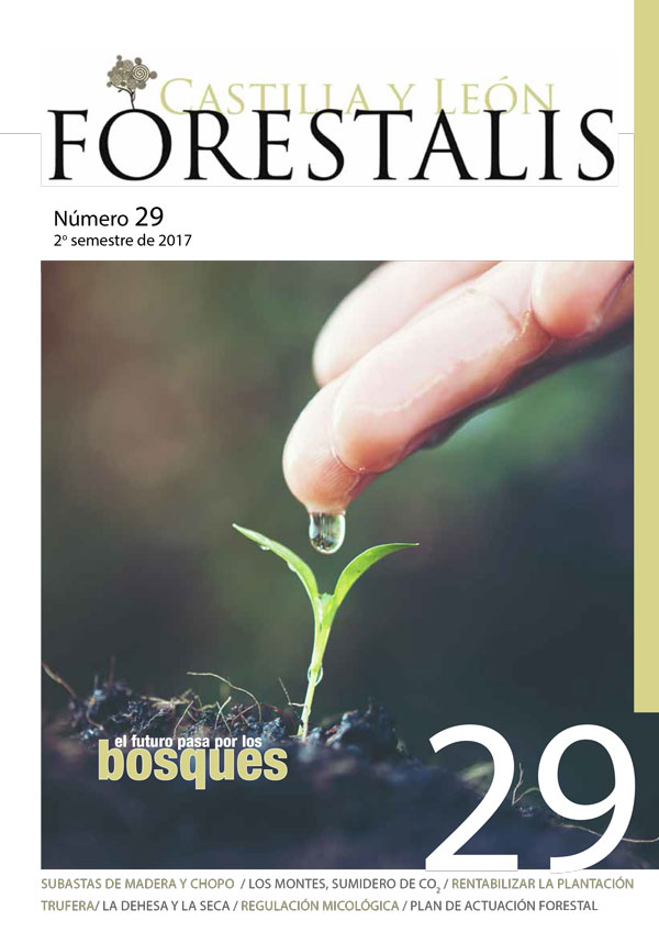 Revista Forestalis Nº 29