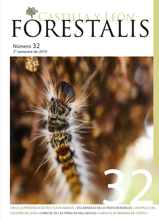 Revista Forestalis Nº 32