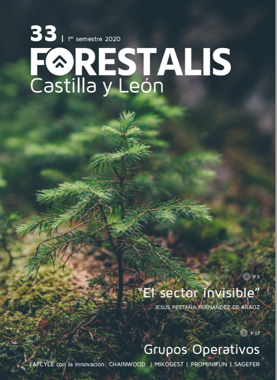Revista Forestalis Nº 33