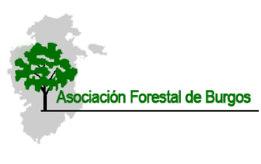 logo ASFOBUR
