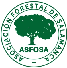 logo ASFOSA